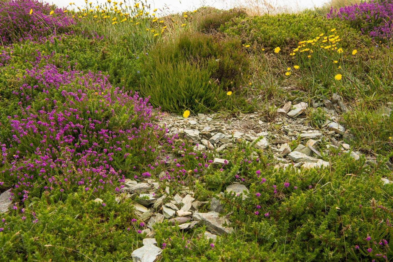ClynacartanRing Of Kerry - Einmaliger Blick Auf Skelligsアパートメント エクステリア 写真